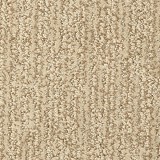 Masland CarpetsMesa Verde
